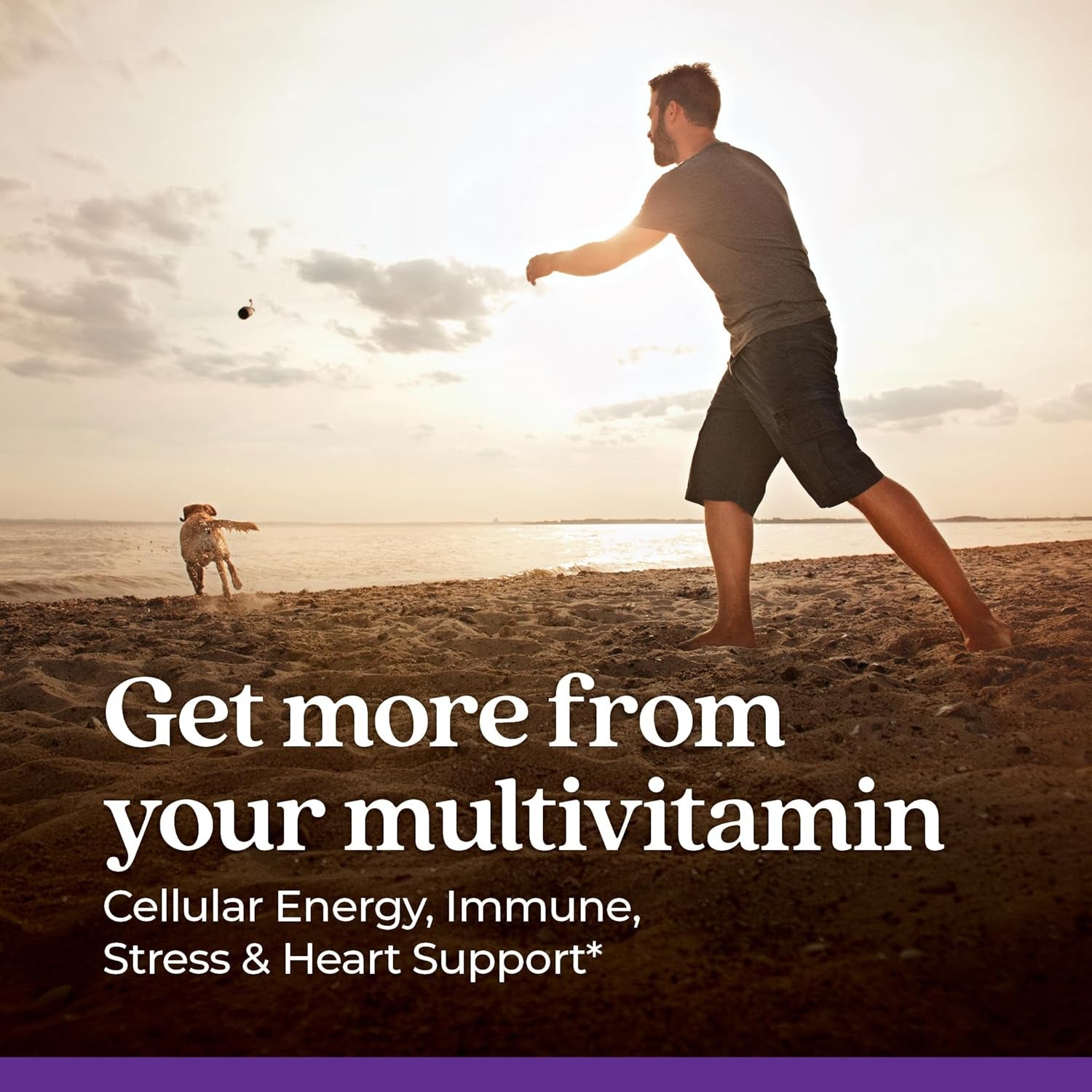 Men'S Multivitamin for Immune, Stress, Heart + Energy Support with Fermented Nutrients - Every Man'S One Daily, Made with Organic Vegetables & Herbs, Non-Gmo, Gluten Free - 96 Ct
