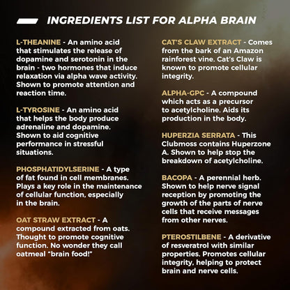 Alpha Brain (90Ct) - over 1 Million Bottles Sold - Premium Nootropic Brain Supplement - Focus, Concentration + Memory - Alpha GPC, L Theanine & Bacopa Monnieri